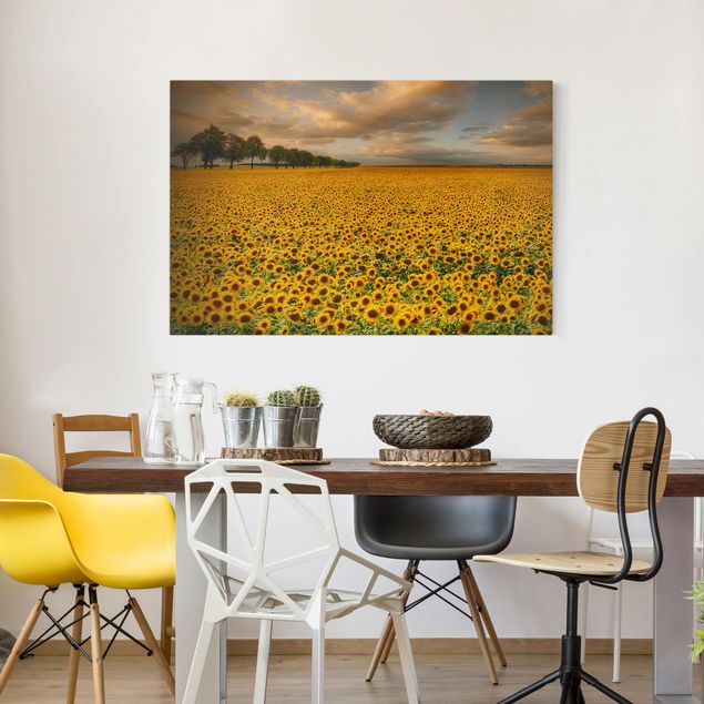 Lienzos de girasoles Field With Sunflowers