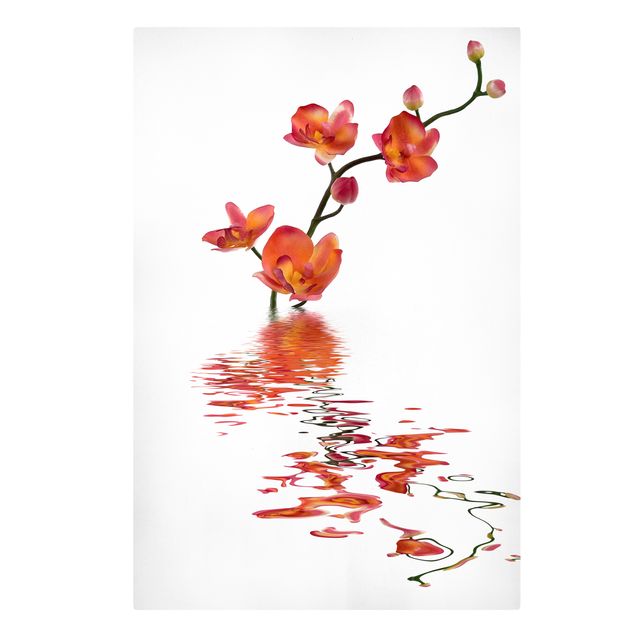 Cuadros plantas Flamy Orchid Waters
