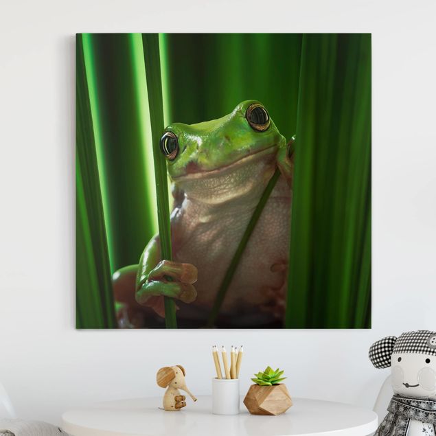 Decoración en la cocina Merry Frog