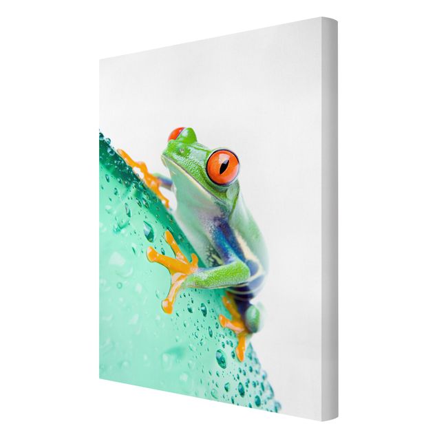 Cuadros decorativos Frog
