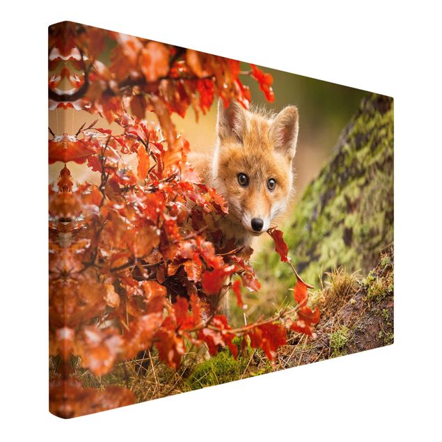 Lienzos de paisajes Fox In Autumn