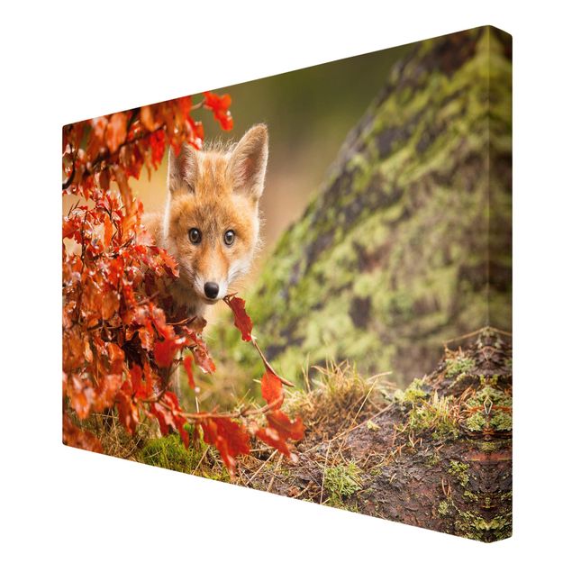 Lienzos de animales Fox In Autumn