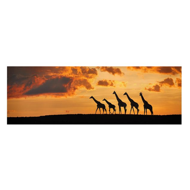 Lienzos de puesta de sol Five Giraffes