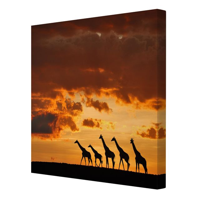 Cuadros paisajes Five Giraffes