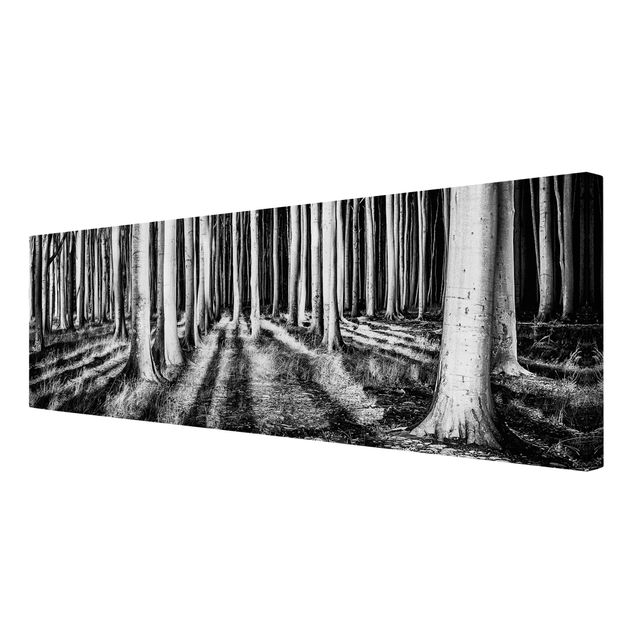 Lienzos en blanco y negro Spooky Forest