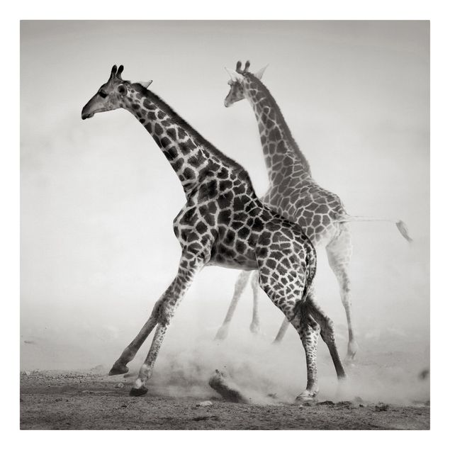 Lienzos animales Giraffe Hunt