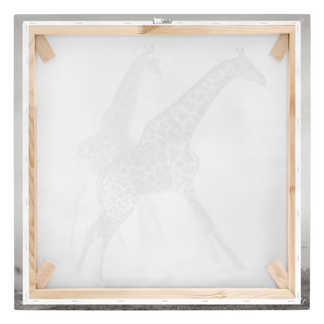 Cuadros a blanco y negro Giraffe Hunt