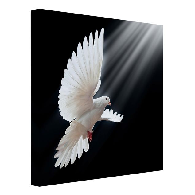 Lienzos espirituales Holy Dove