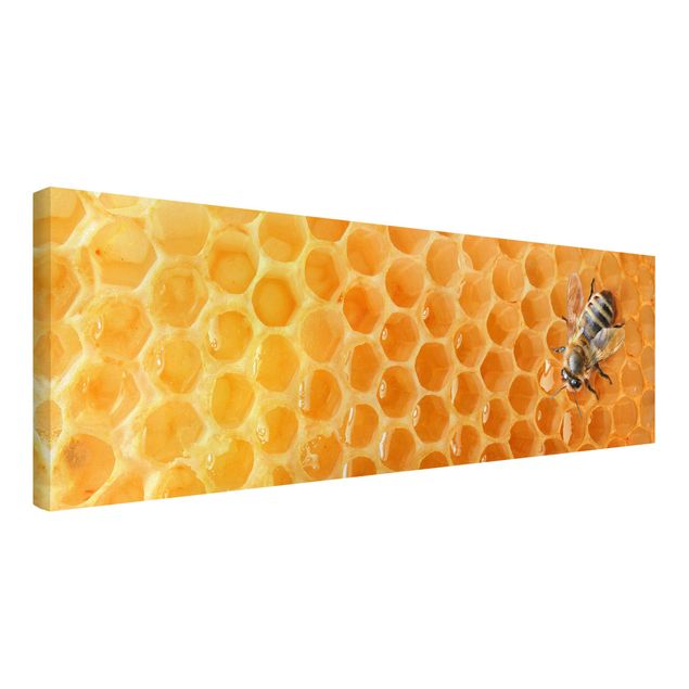 Cuadros de animales Honey Bee