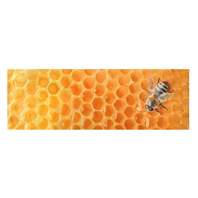 Cuadros Honey Bee