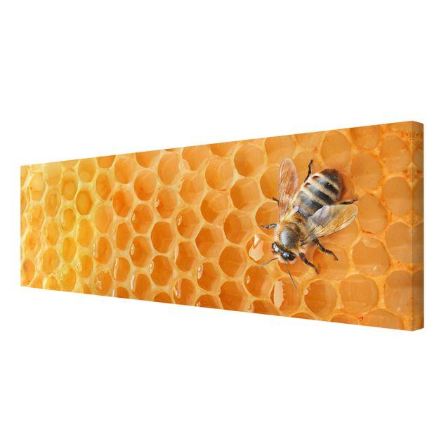 Lienzos Honey Bee