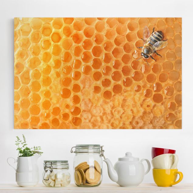 Decoración en la cocina Honey Bee