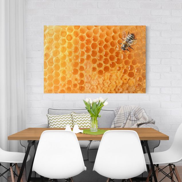 Lienzos animal Honey Bee