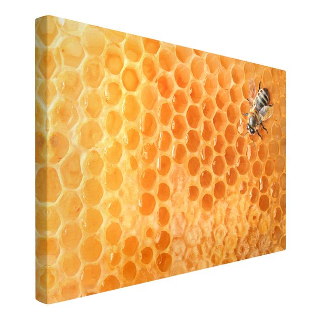 Cuadros modernos y elegantes Honey Bee