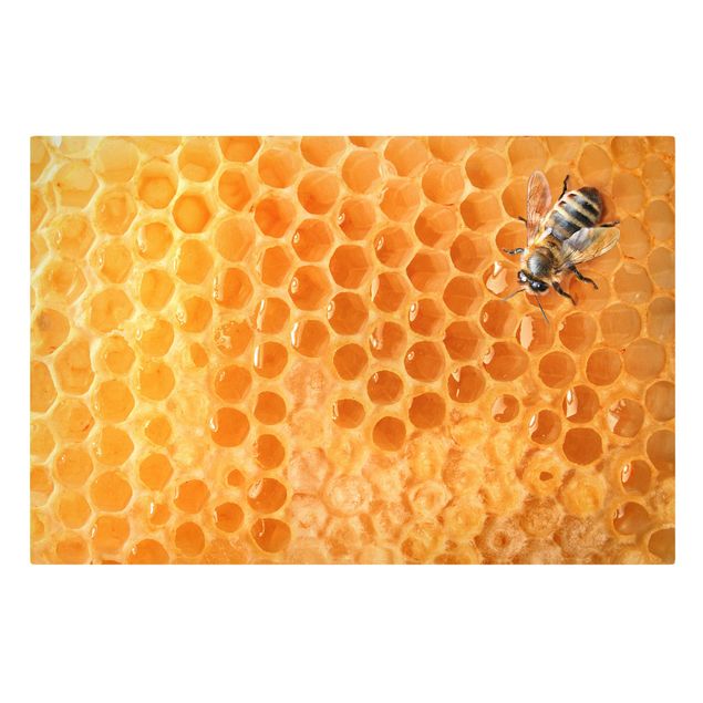 Cuadros infantiles animales Honey Bee