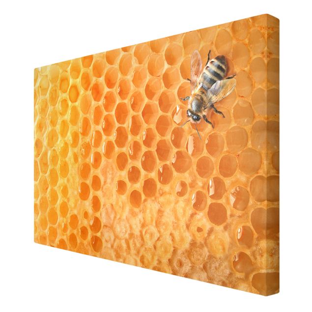 Cuadros modernos Honey Bee