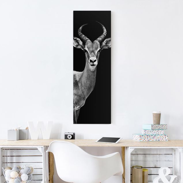 Lienzos en blanco y negro Impala antelope black and white