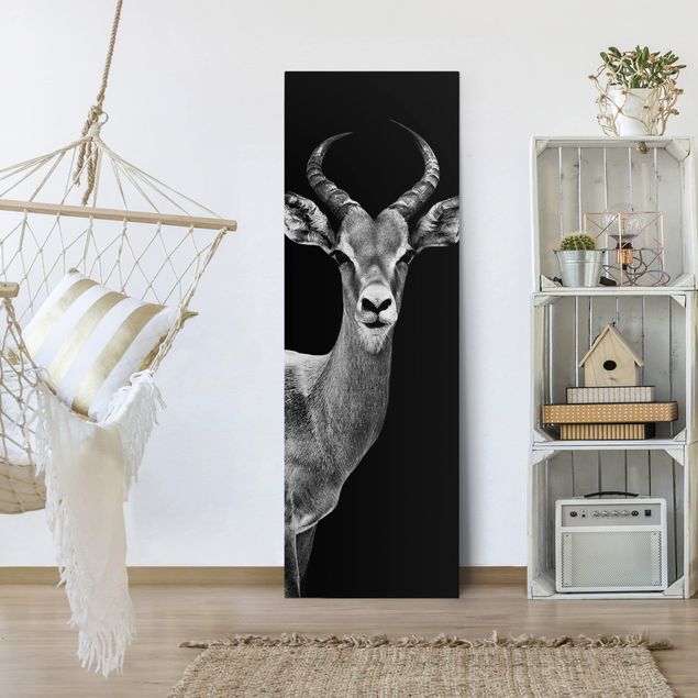 Lienzos de animales Impala antelope black and white