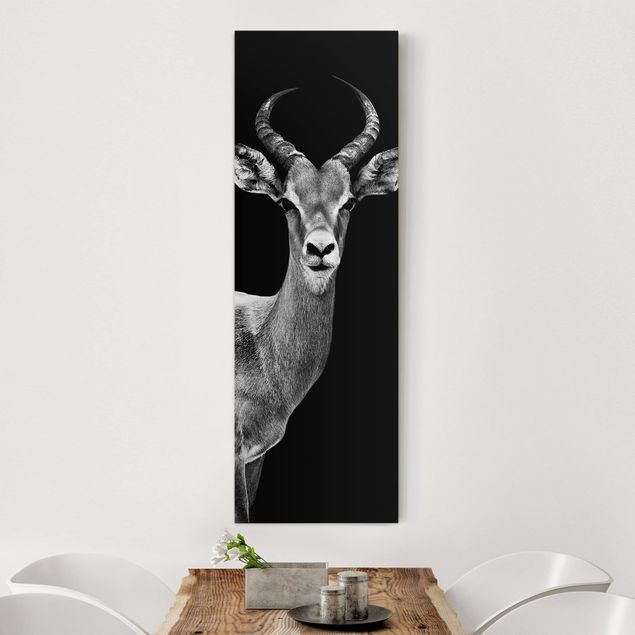 Decoración cocina Impala antelope black and white