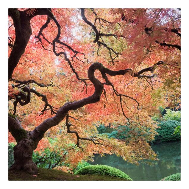 Lienzos de bosques Japanese Garden