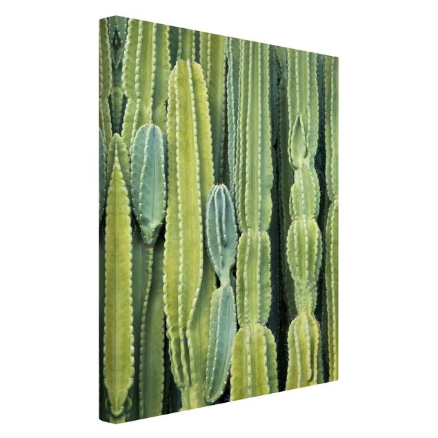 Cuadros flores Cactus Wall