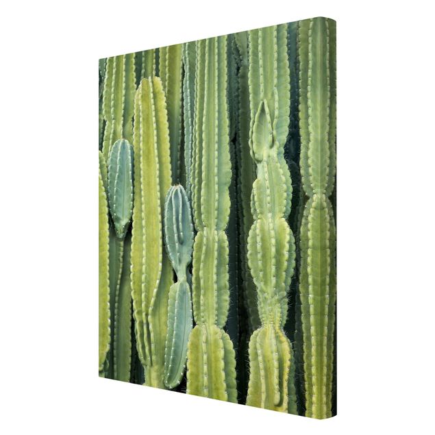 Cuadros decorativos Cactus Wall