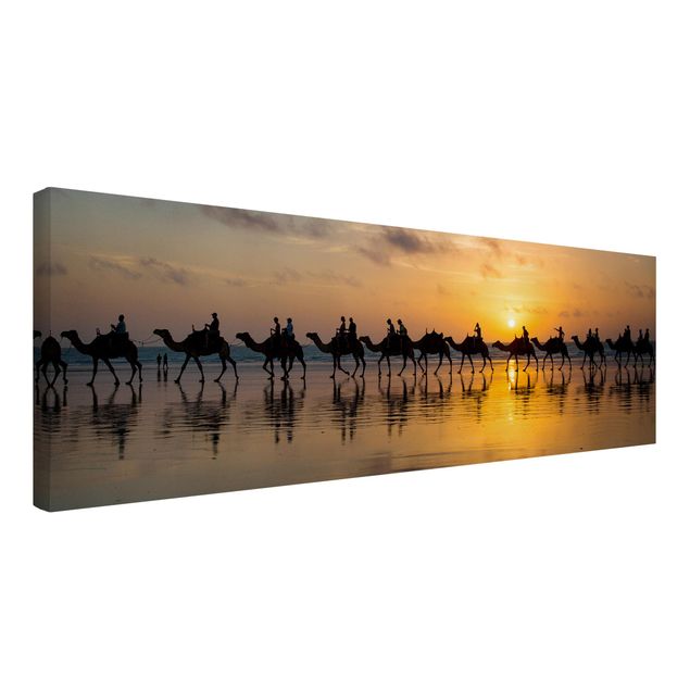 Cuadros decorativos modernos Camels in the sunset