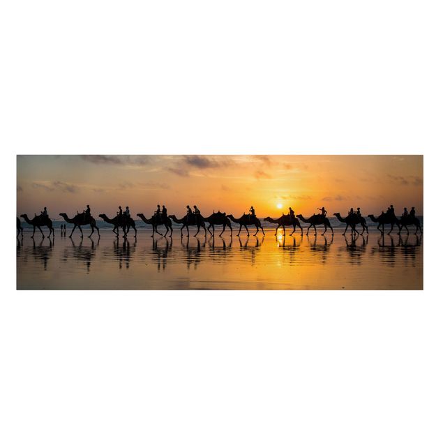 Cuadros animales Camels in the sunset