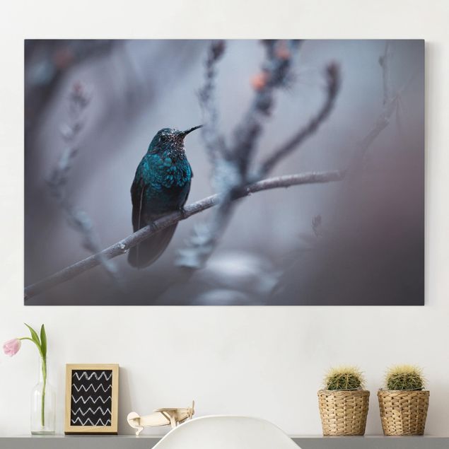 Lienzos de aves Hummingbird In Winter