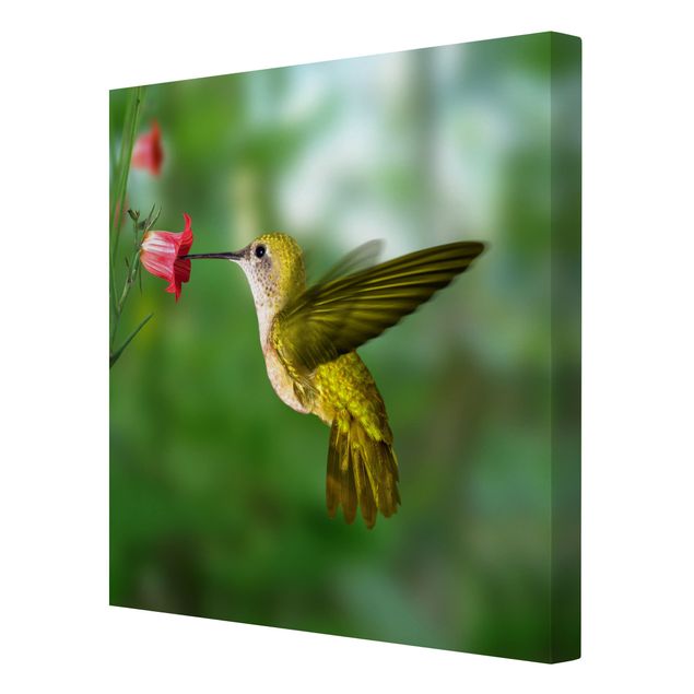 Cuadros tonos verdes Hummingbird And Flower