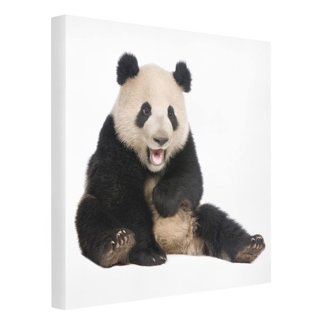 Cuadros decorativos modernos Laughing Panda