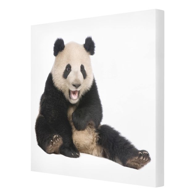 Cuadros decorativos Laughing Panda