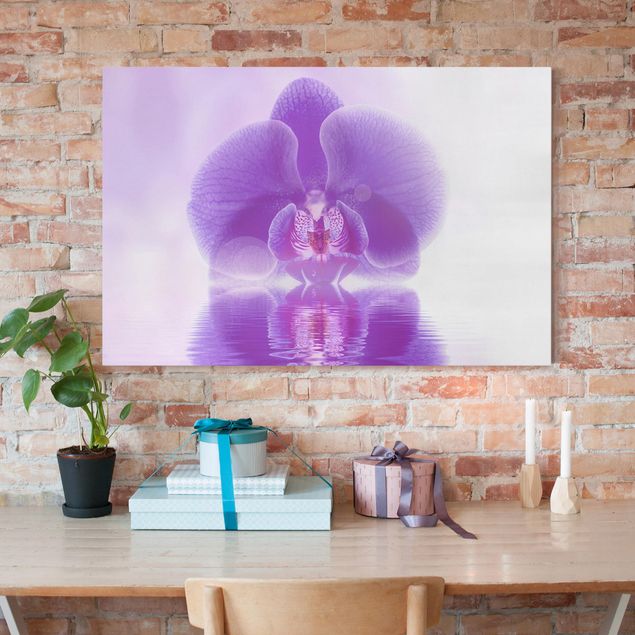 Lienzos de orquídeas Purple Orchid On Water
