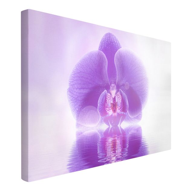 Lienzos de flores Purple Orchid On Water