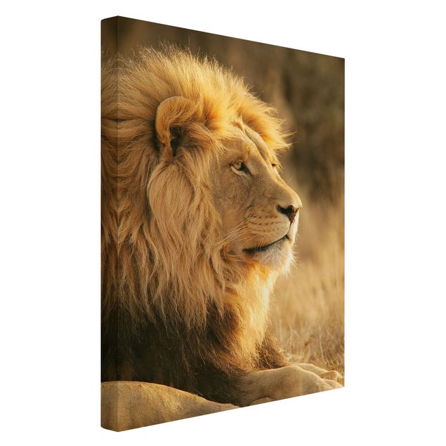 Cuadro de león King Lion