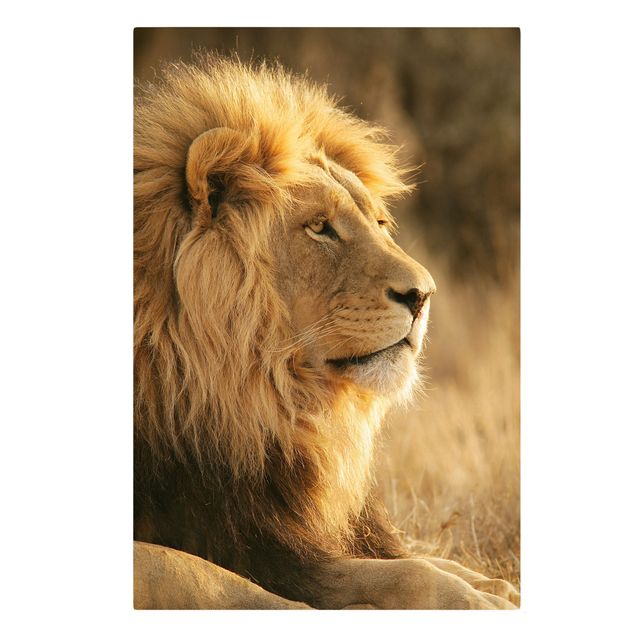 Lienzos animal King Lion
