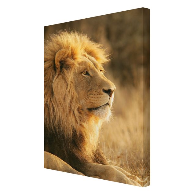 Cuadros africanos modernos King Lion
