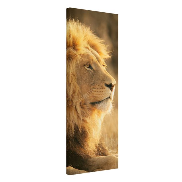 Cuadros león King Lion