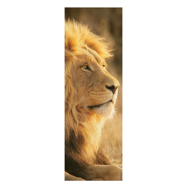 Lienzos de animales King Lion