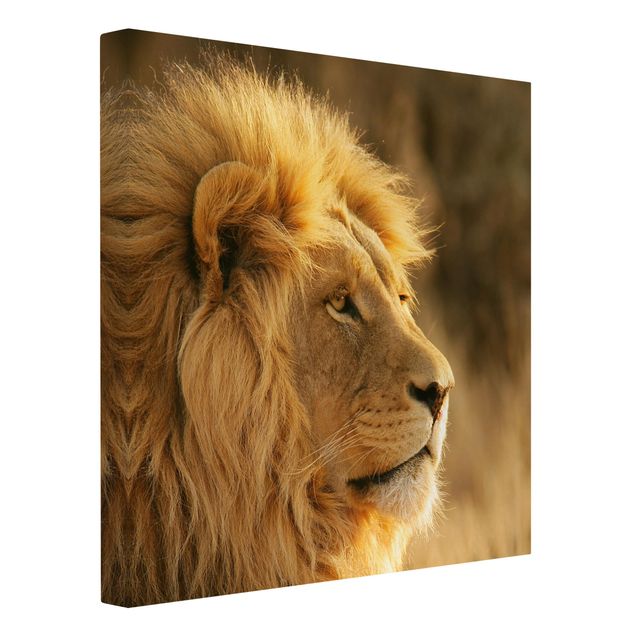 Cuadro de león King Lion