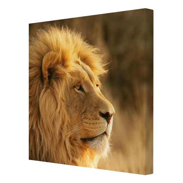Cuadros africanos modernos King Lion