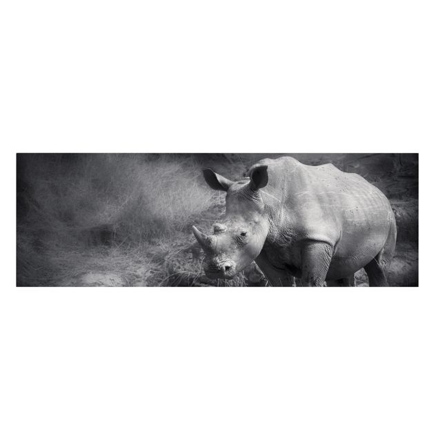Cuadros a blanco y negro Lonesome Rhinoceros