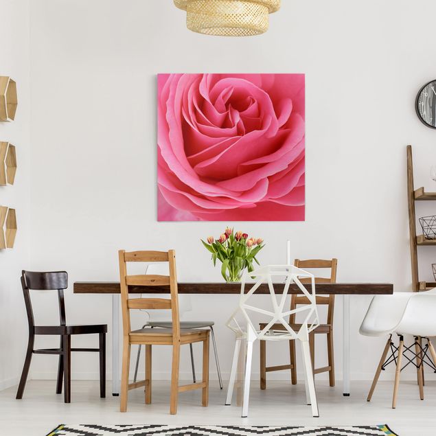 Lienzos de flores Lustful Pink Rose