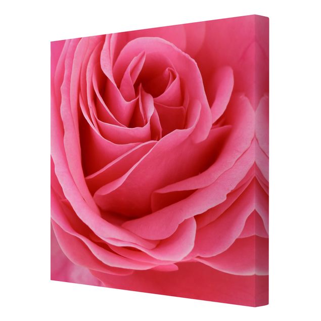Cuadros Lustful Pink Rose