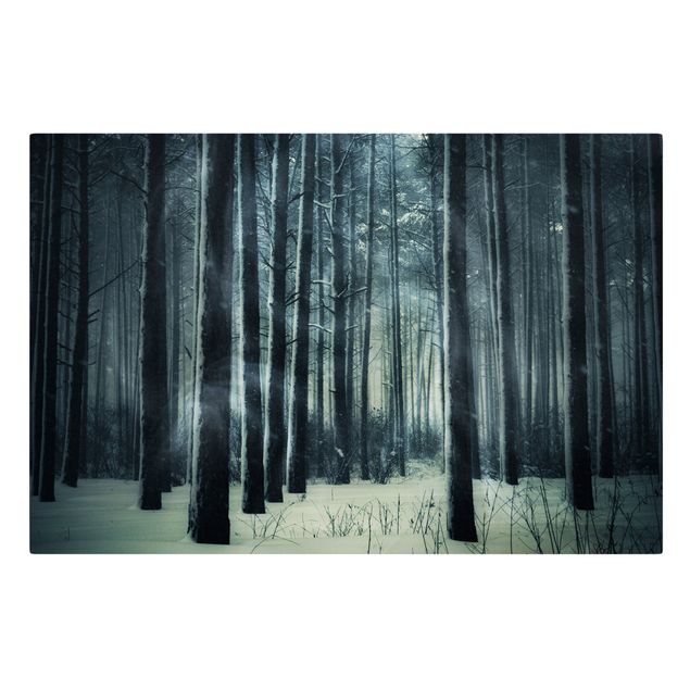 Cuadros de plantas naturales Mystical Winter Forest