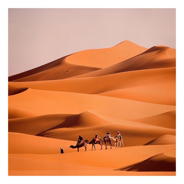 Lienzos ciudades del mundo Namib Desert