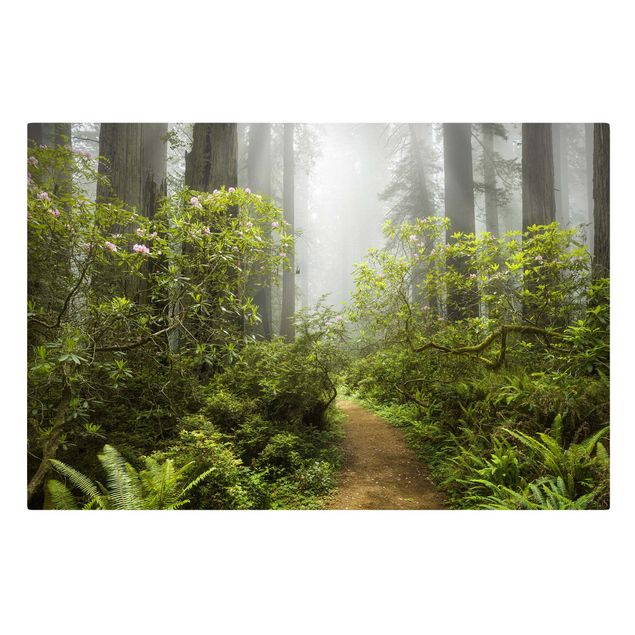Lienzo bosque Misty Forest Path