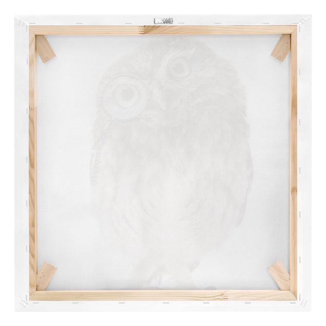 Cuadros en lienzo Curious Owl