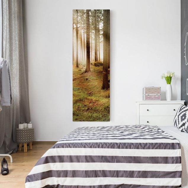 Cuadro con paisajes No.CA48 Morning forest
