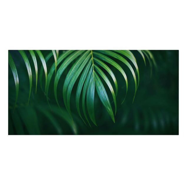 Cuadros verdes Palm Fronds